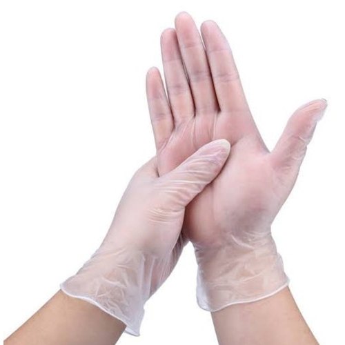 APOLLO Vinyl Examination Gloves – Clear, Powder Free | Carton 1000