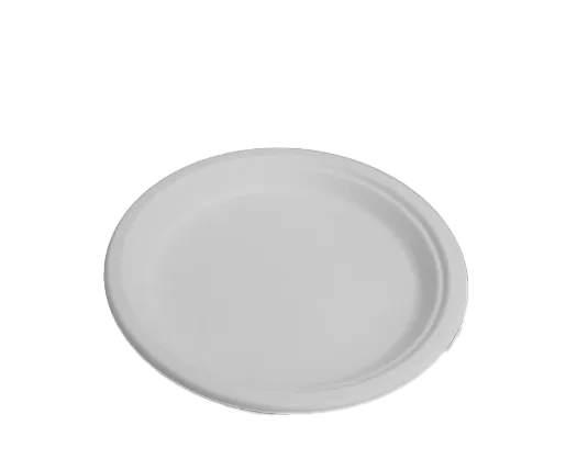 EJ Eco 10 inch round sugarcane plate compostable - white bagasse plate for hot and cold food service, 500 per carton
