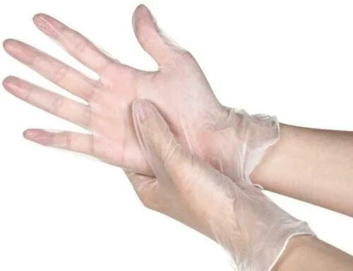 EasyCare Vinyl Gloves Powder Free Large — 100 Gloves/Box